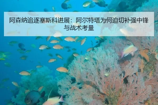 a-sen-na-zhui-zhu-sai-si-ke-jin-zhan-a-er-te-ta-wei-he-po-qie-bu-qiang-zhong-feng-yu-zhan-shu-kao-liang-2-413.jpg
